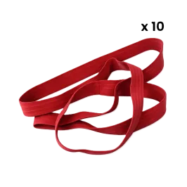 Produit Lot de 10 sangles pour conteneurs 120 L à 360 L - Rouge Image