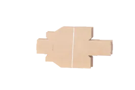 Produit Lot de 25 bacs à bec carton 2.5 litres Image
