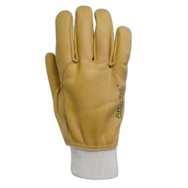 Produit Gants cuir hydrofuge - Taille 9 Image