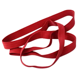 Produit Sangle pour conteneur 120 L à 360 L - Rouge Image