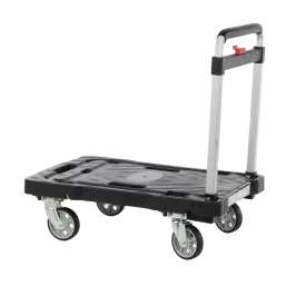 Produit Chariot plastique avec plateforme - 150 kg Image